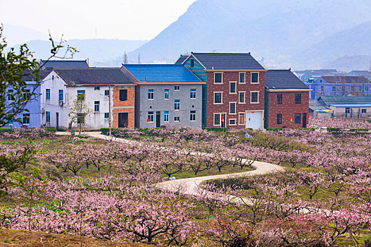 xổ số dự đoán miền nam hôm nay