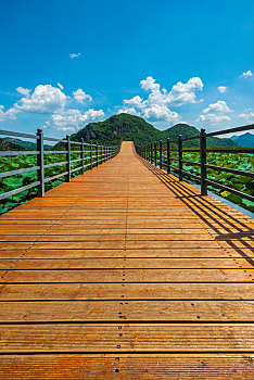 xổ số bạc liêu