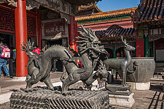 đề hôm nay con gì