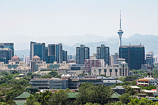 soi đề bạch thủ