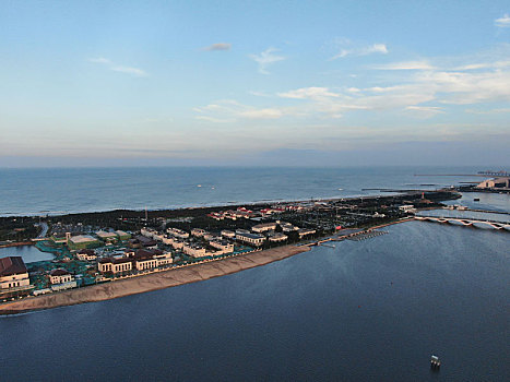 soi câu lo