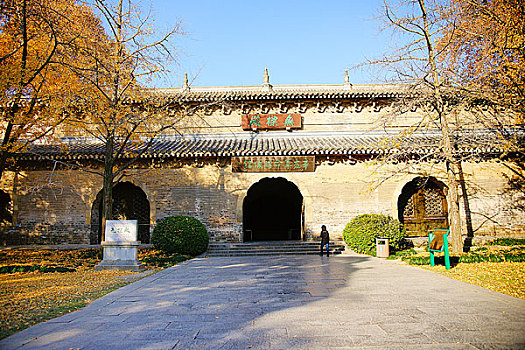 rong bach kim hai nhay