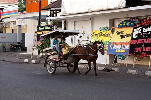 soi câu miễn phí
