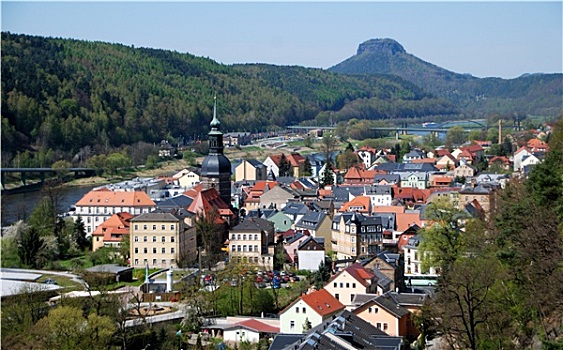 vua đá gà