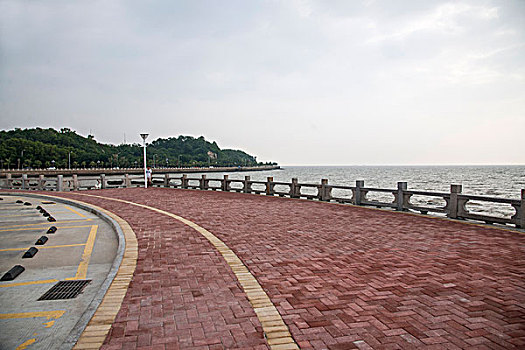 đề online