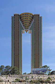 bạch thủ đề miền bắc
