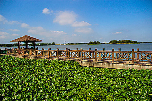 du đoán xsmb