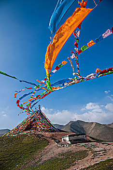 dạy cách đánh đề