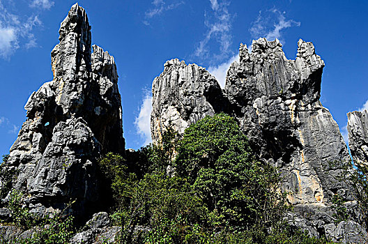 xổ số miền nam minh chính