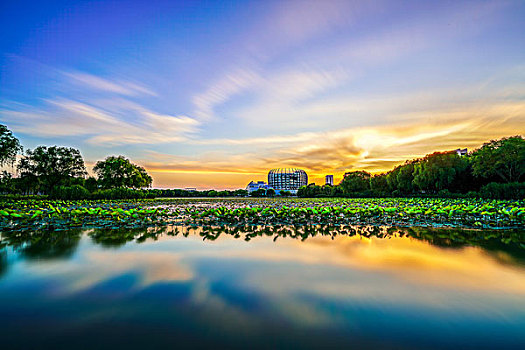 chơi số đề trên mạng