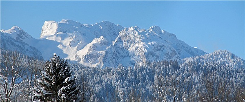 atrungroi mn