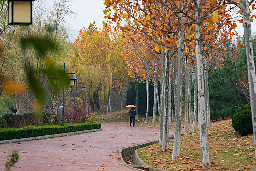 xổ số kiên giang hàng tuần