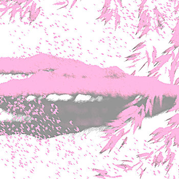 xs 3 đài